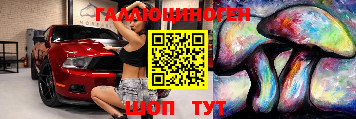 Балашов  Псилоцибиновые грибы MAGIC MUSHROOMS  Вход с VPN 