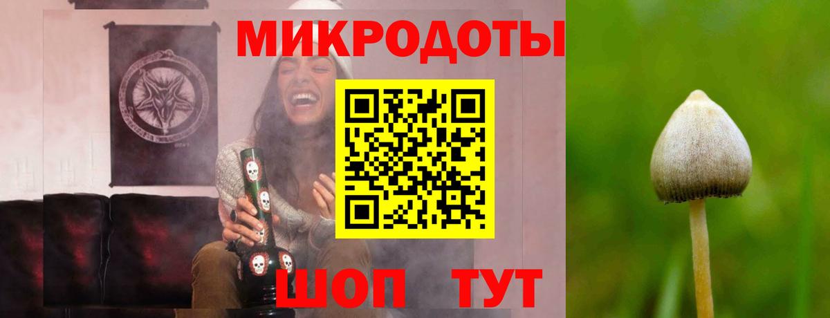 Галлюциногенные грибы Cubensis Балашов